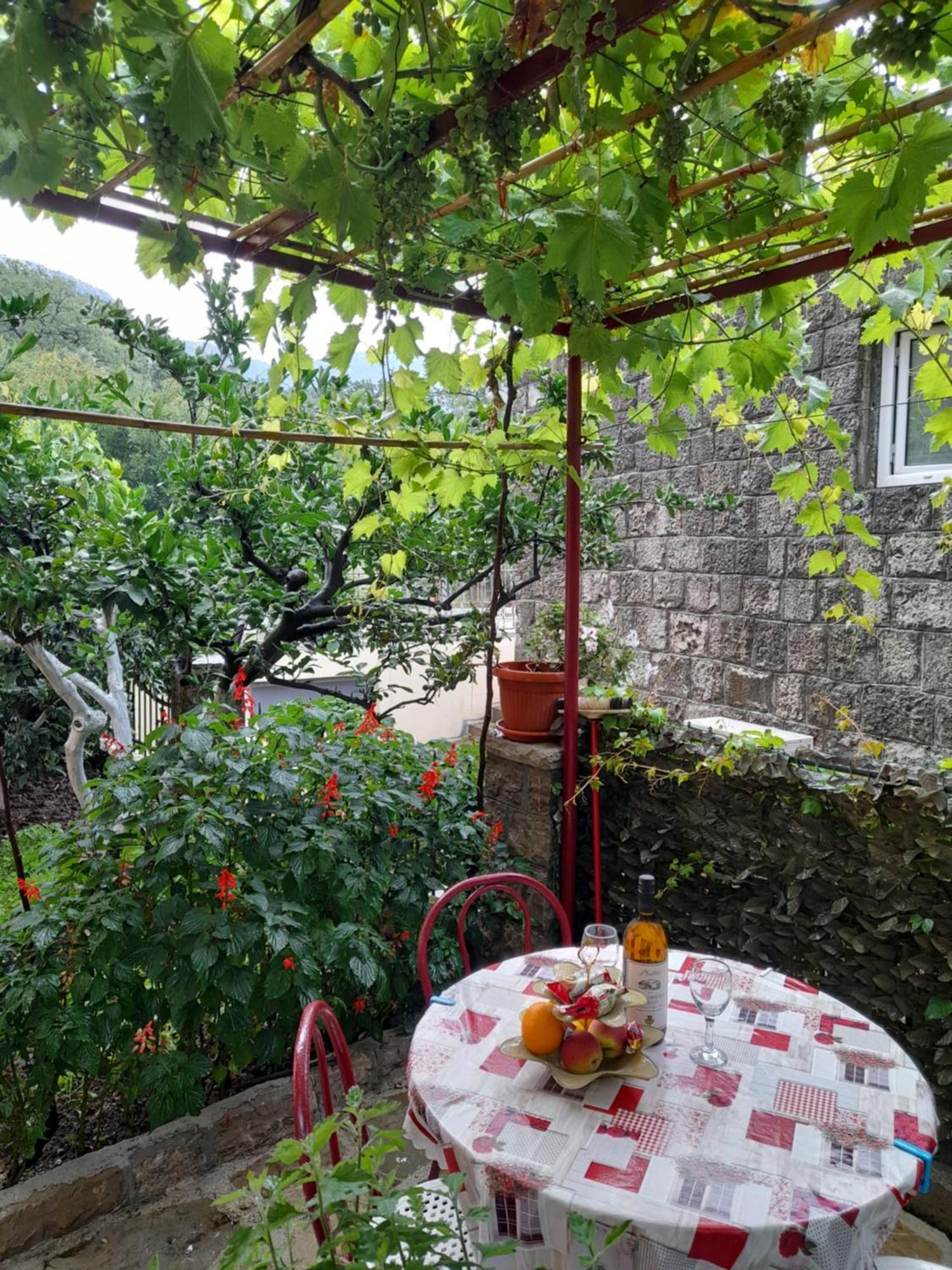 Apartments Kovacevic Petrovac Δωμάτιο φωτογραφία
