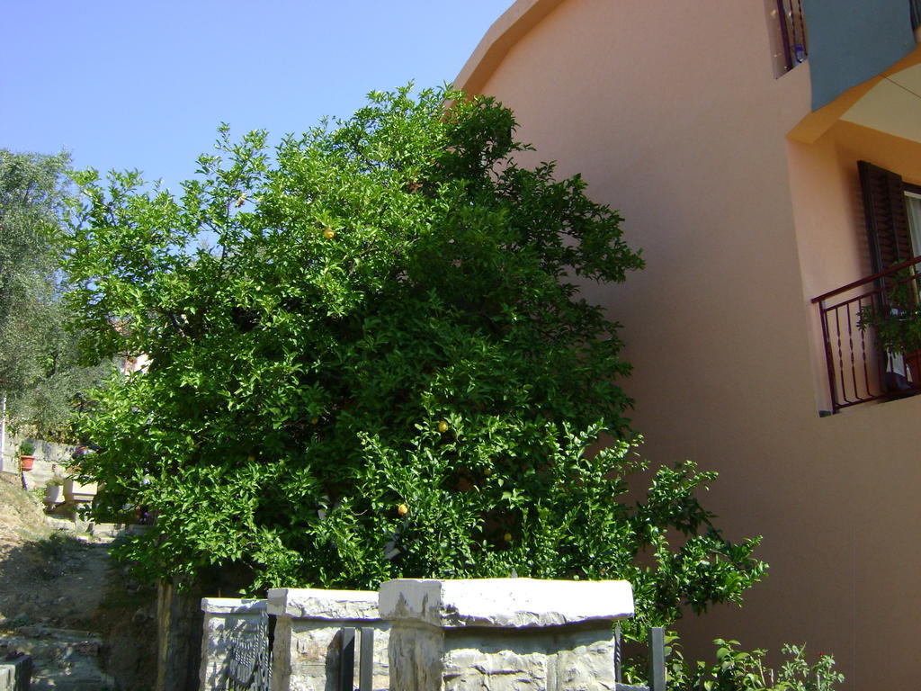 Apartments Kovacevic Petrovac Εξωτερικό φωτογραφία